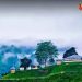 খাগড়াছড়িত নিউজিল্যান্ড পাড়া