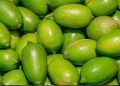 বাজারে চড়া লেবুর দাম