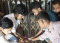 বরিশাল বাদে সব পলিটেকনিকে ‘শাটডাউন’ কর্মসূচি