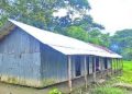 এটি সরকারি স্কুল