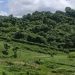 সীমান্তের ওপারে তীব্র গোলাগুলি