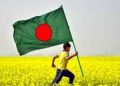 ফিরে দেখা বিজয়ের মাস