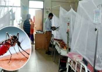 ডেঙ্গুতে ১৪ জনের মৃত্যু, হাসপাতালে ভর্তি ১৫৯৪