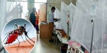 ডেঙ্গুতে ১৪ জনের মৃত্যু, হাসপাতালে ভর্তি ১৫৯৪