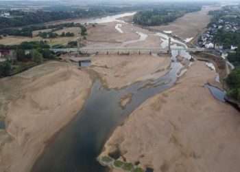 থলের বিড়াল : এম এ ওয়াহাব