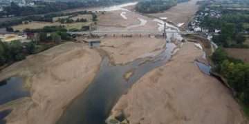 থলের বিড়াল : এম এ ওয়াহাব