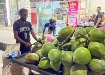 বরিশালে রেকর্ড ভেঙেছে ডাবের দাম