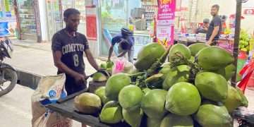 বরিশালে রেকর্ড ভেঙেছে ডাবের দাম