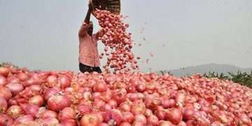 অস্থির পেঁয়াজের বাজার