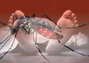 ডেঙ্গুতে মৃত্যু কমছেই না। গতকাল এক দিনে রেকর্ড ২১ জনের মৃত্যু হয়েছে।