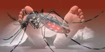 ডেঙ্গুতে মৃত্যু কমছেই না। গতকাল এক দিনে রেকর্ড ২১ জনের মৃত্যু হয়েছে।