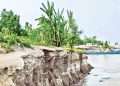 তিস্তায় কমছে পানি বাড়ছে ভাঙন