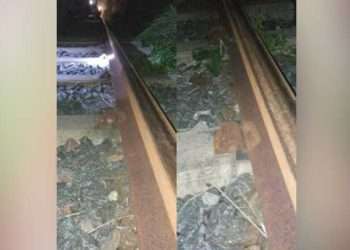 হাজার ক্লিপ চুরি, দুর্ঘটনা থেকে অল্পের জন্য রক্ষা