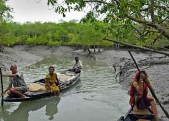সুন্দরবনের জেলেদের অভাব-অনটন দূর হচ্ছে না
