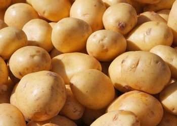 মুন্সিগঞ্জে হিমাগারে আলু বিক্রি বন্ধ