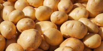 মুন্সিগঞ্জে হিমাগারে আলু বিক্রি বন্ধ