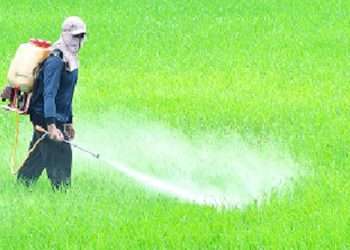 সার আমদানিতে ভারতকে ছাড় দেওয়া বন্ধ করল রাশিয়া