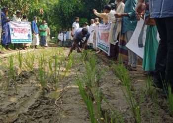 সড়কে ধানের চারা লাগিয়ে এলাকাবাসীর প্রতিবাদ