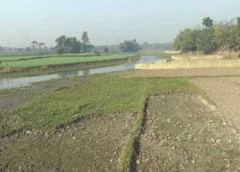 একসময়ের খরস্রোতা কাজলা এখন মেহেরপুরের অভিশাপ