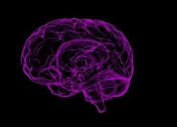 বিশ্ব জুড়ে বেড়েছে আলঝেইমারস রোগের ভয়াবহতা