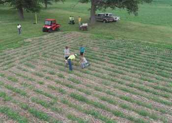 শ্রেণিকক্ষ থেকে ফসলের মাঠে ৭০ শিক্ষার্থী