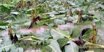 এ কেমন শত্রুতা