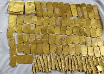 ১৯ কেজি সোনাসহ যুবক আটক