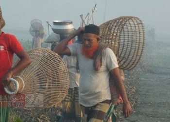 পাবনা থেকে গাজীপুরে এসে সংগ্রহ করেন ‘চাঁইলতা’, পরে বানান মাছ ধরার চাঁই