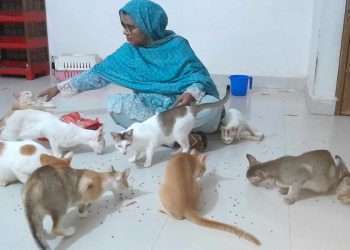 ৮০ ‘বিড়ালের মা’ জাহানারা