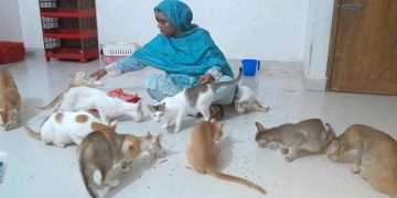 ৮০ ‘বিড়ালের মা’ জাহানারা