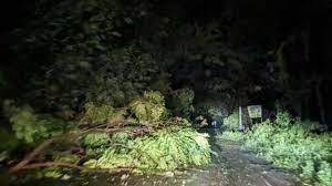 ঘূর্ণিঝড় হামুনের আঘাতে কক্সবাজারে দুজনের মৃত্যু