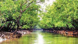 সুন্দরবনে অবৈধভাবে মাছ ধরার অভিযোগ