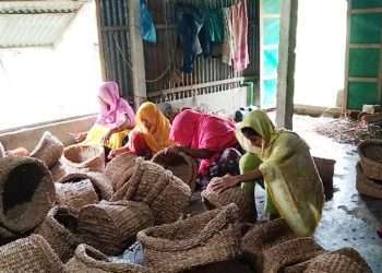 উদ্যোক্তাও এখন ওরা কৃষিকাজের পাশাপাশি