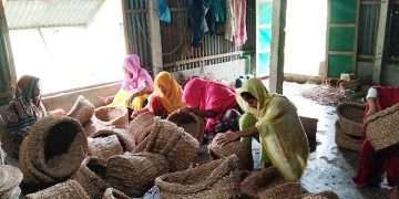 উদ্যোক্তাও এখন ওরা কৃষিকাজের পাশাপাশি