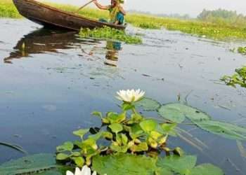 এক নকশিকাঁথা ঘিওরের মেন্দীবিল