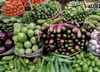 অস্থির সবজি বাজার