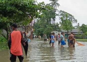 ৩৭ কোটি টাকার মাছ ভেসে গেছে
