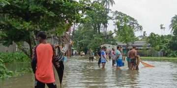 ৩৭ কোটি টাকার মাছ ভেসে গেছে