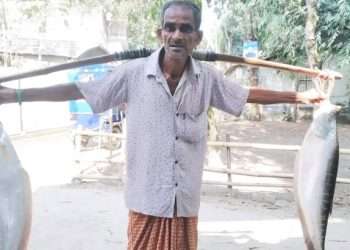 ফেরি করে চিতল বিক্রি