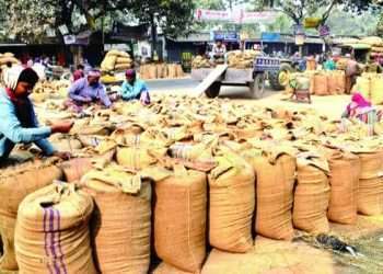 আমনের দাম নিয়ে দুশ্চিন্তায় কৃষক