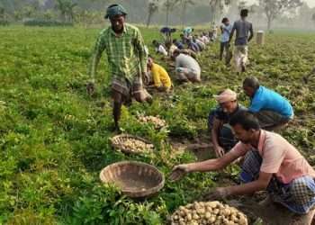 ভর্তা আর তরকারিতে নতুন স্বাদ