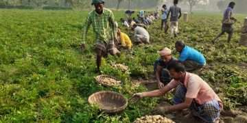ভর্তা আর তরকারিতে নতুন স্বাদ