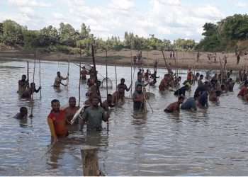 ভোগাই নদীতে পলো দিয়ে মাছ শিকার