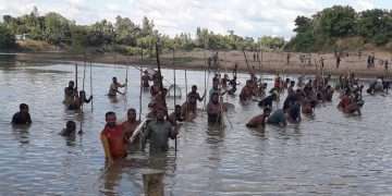 ভোগাই নদীতে পলো দিয়ে মাছ শিকার