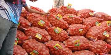 কমেছে আলুর দাম আমদানির খবরে