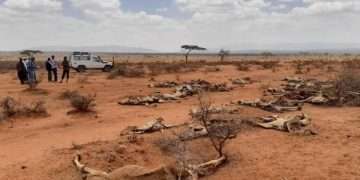 ইথিওপিয়ায় অনাহারে অর্ধশতাধিক মানুষের মৃত্যু