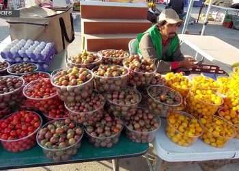 কুয়েতের বাজারে বাংলাদেশিদের উৎপাদিত সবজি