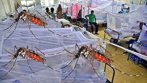 বছরজুড়ে ডেঙ্গুর ভয়াল থাবা
