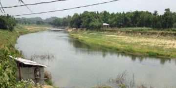 বাঁকখালী নদীতে মিলছে না মাছ