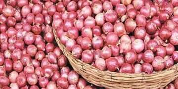 একদিনের ব্যবধানে কেজিপ্রতি পেয়াজে দাম বেড়েছে ১০০